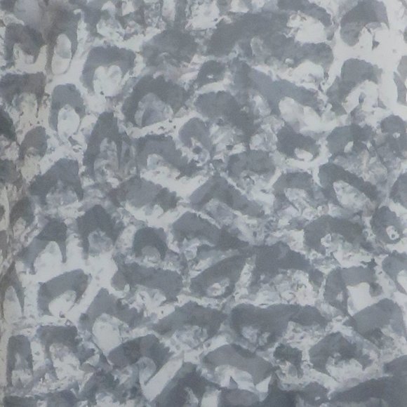 Silver Bait* Men's Short Sleeve Crew Neck Straight Hem Pullover Tee Shirt~XL - Picture 12 of 12